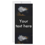 Droplet of water on a white feather rack cards