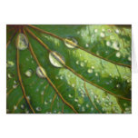 Droplets Greeting Cards