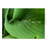 Drops  funneling greeting card