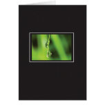 Drops of Wetness cards