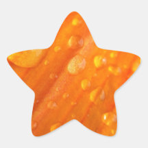 Drops On Bright Orange Flower Stickers