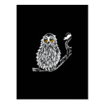 Drowsy Owl Postcard