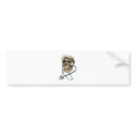 DrSkull052409 bumper stickers