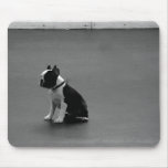 DRU puppy boston terrier mousepads