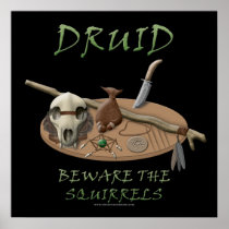 Druid: Beware the Squirrels Posters