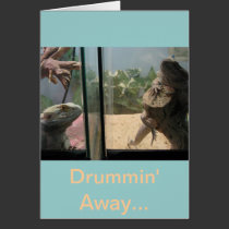 Drummin Away cards
