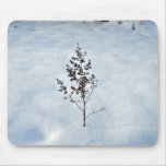 Dry branches tree sticking out of the snow mouse pads