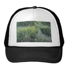Dry grass in the water mesh hats