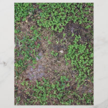 Dry Ground with Grass and  Dollar Weed Personalized Flyer