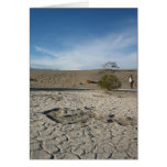 Dry Grounds cards