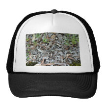 Dry gum leaf background texture hat