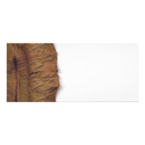 Dry Leaf Rack Card