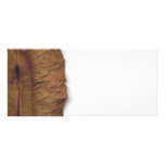 Dry Leaf Rack Card rack cards