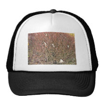 Dry Leaves on Dry Grass Field Trucker Hat