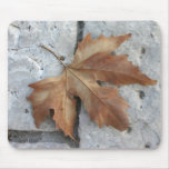 Dry maple leaf mousepads