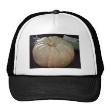 Dry pale pumpkin hats