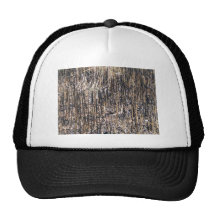 Dry Reeds Field Hats