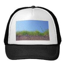 Dry Reeds Texture Mesh Hats