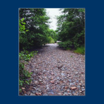 Dry River Bed Scottish Highlands postcards