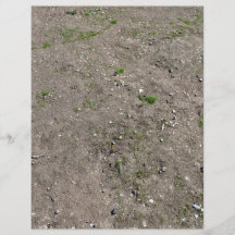 Dry Sand Landscape With Some Grass Custom Flyer