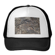 Dry Short Grass and Leaves Background Hats