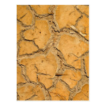 dry  soil  / crack earth post cards