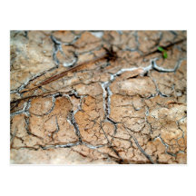 dry  soil  / crack earth post cards
