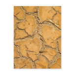 dry  soil  / crack earth postcards