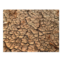 dry  soil  / crack earth postcard