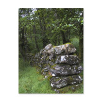 Drystone Wall Postcard
