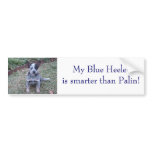 DSC00254, My Blue Heeleris smarter than Palin! bumper stickers
