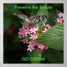 DSC00407, Preserve the Beauty, GO GREEN! Posters
