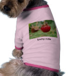 DSC00418berrycute Pet Tee Shirt