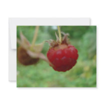 DSC00418berrycute Invitations