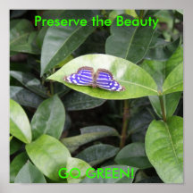DSC00432, Preserve the Beauty, GO GREEN! Print