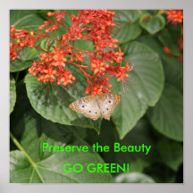 DSC00433, Preserve the Beauty, GO GREEN! Poster