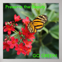 DSC00452, Preserve the Beauty, GO GREEN! Print