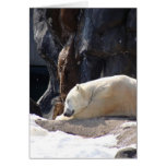 DSC01028 GREETING CARD