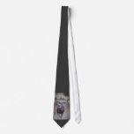 DSC02179 NECKTIES