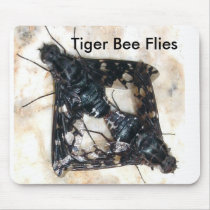 DSC03151, Bee Flies Mouse Pad