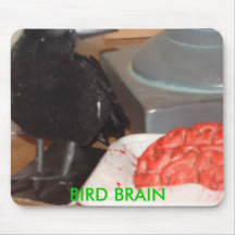 DSC04130, BIRD BRAIN MOUSEPADS