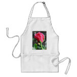 DSC_0107 APRONS