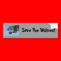 DSC_2225, Save The Wolves! bumper stickers