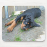DSCF0140 mousepads