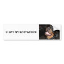 DSCF0313, I LOVE MY ROTTWEILER bumper stickers