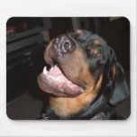 DSCF0313 mousepads