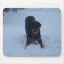DSCF0416 mousepads