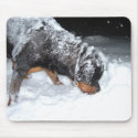 DSCF0448 mousepads