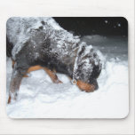 DSCF0448 mousepads