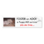 DSCF0636, FOSTER or ADOPT                      ... Bumper Sticker